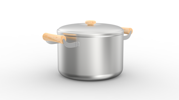 Stainless Steel Pot 9.0 Inch